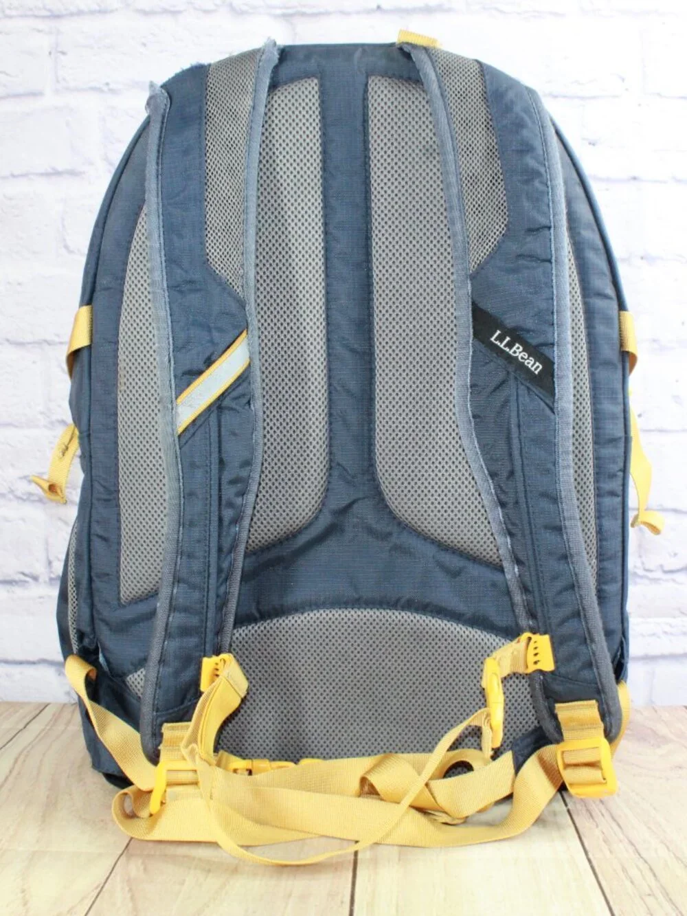 READ–LL Bean Unisex Adult Comfort Carry Portable Locker Pack 42L Backpack Hiking